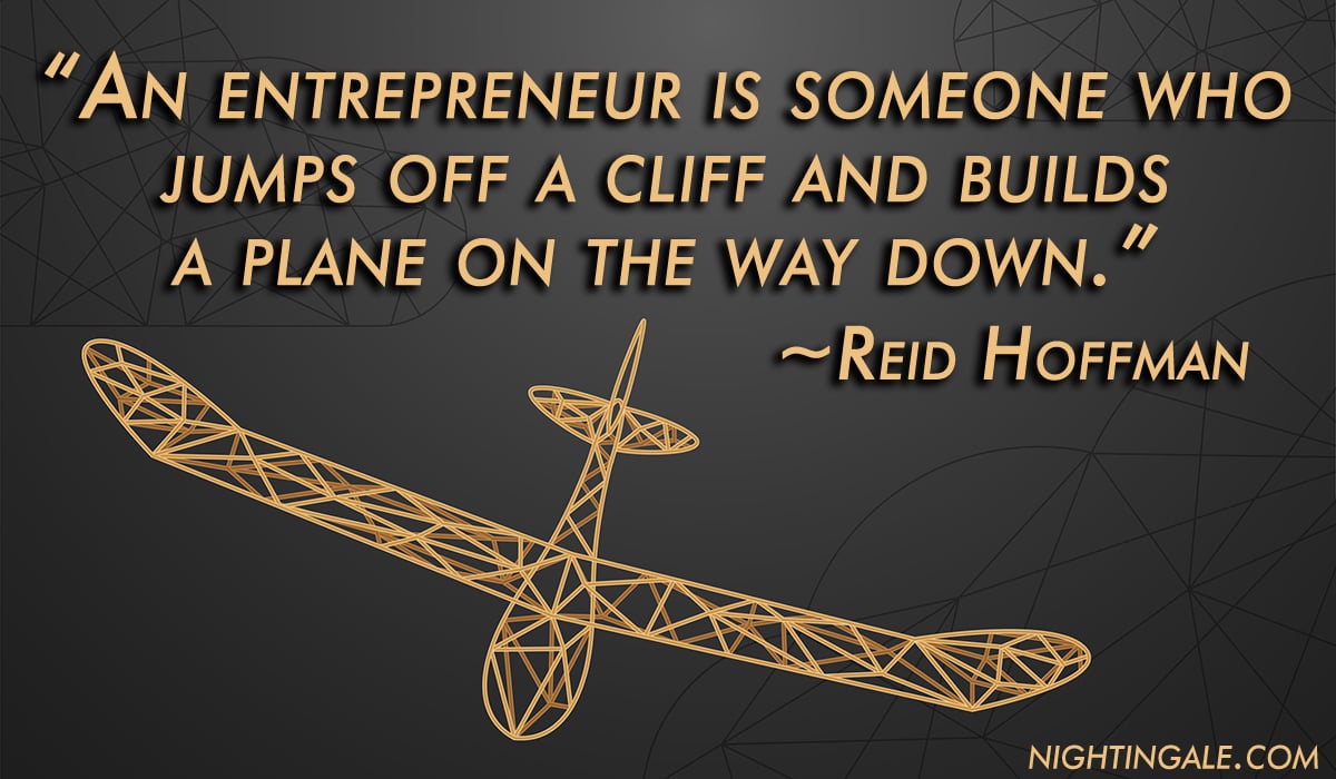 An entrepreneur is someone who jumps off a cliff and builds a plane on the way down.  ~ Reid Hoffman