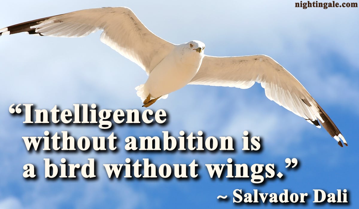 Intelligence without ambition is a bird without wings. ~ Salvador Dali